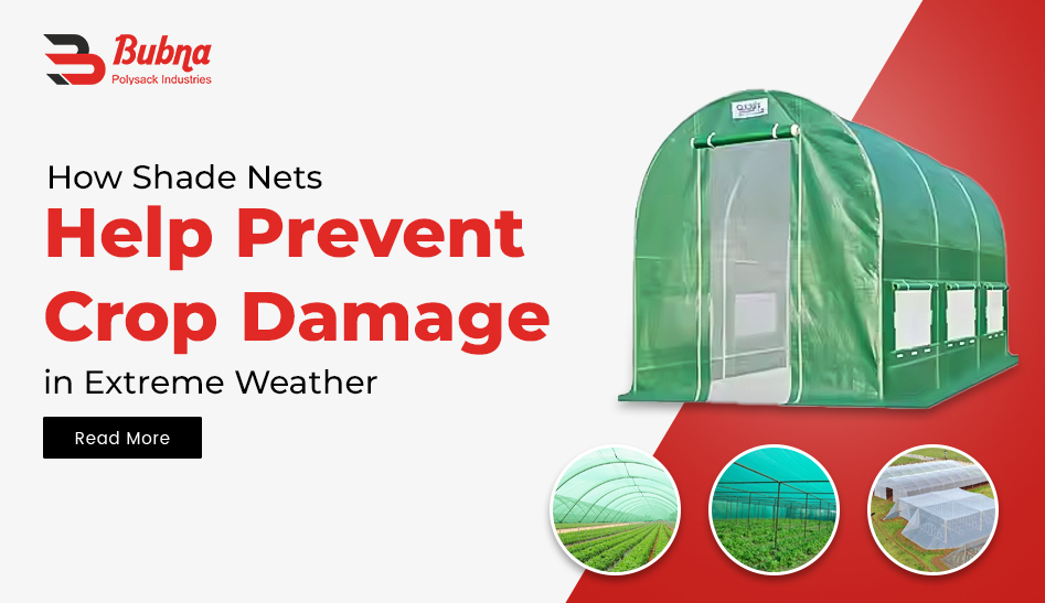 How Shade Nets Protect Crops